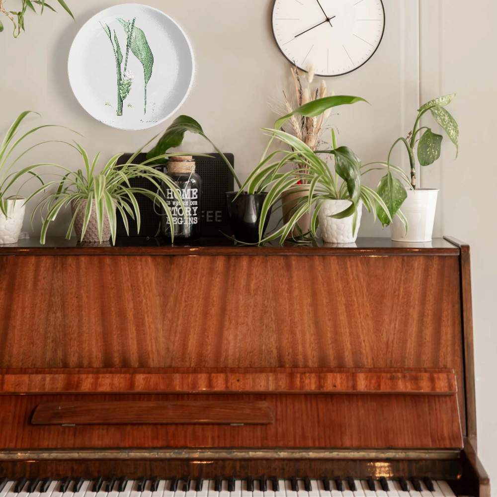 Куркума ботаническая — Пьер Жозеф Редуте