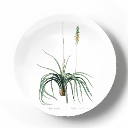 Декоративная тарелка Пьер Жозеф Редуте Agave Yuccaefolia